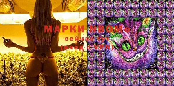 шишки Братск