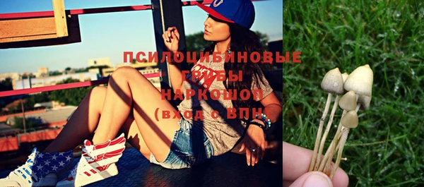 стаф Лабытнанги