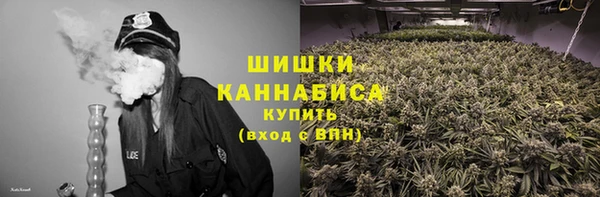 ECSTASY Ладушкин