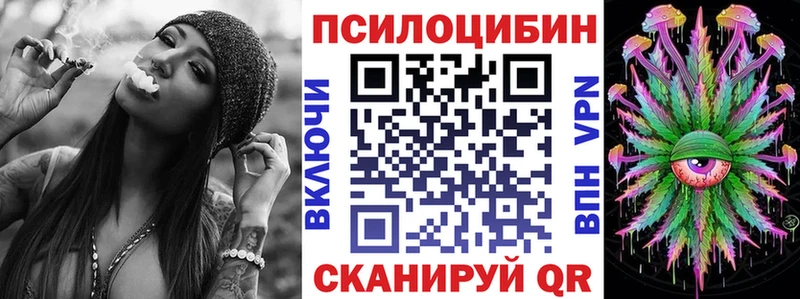 Псилоцибиновые грибы Psilocybe Афипский